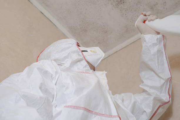 Best Mold Remediation for Schools in Sisco Heights, WA